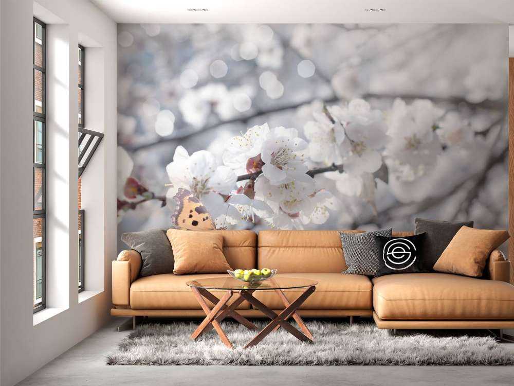 Papillon et fleurs blanches