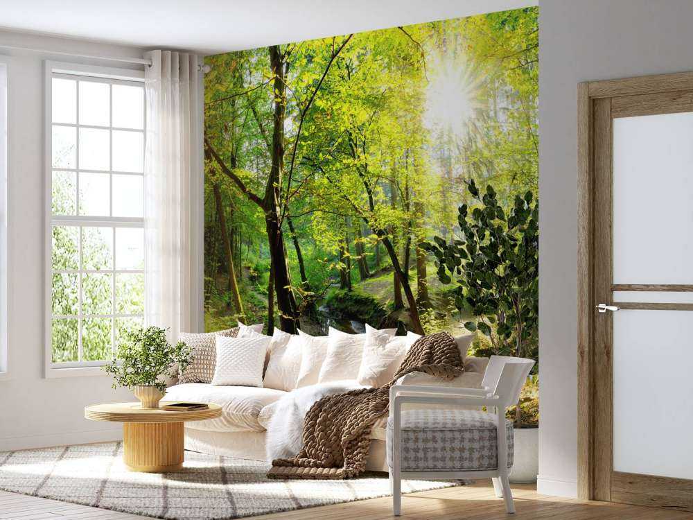 Forêt avec un ruisseau