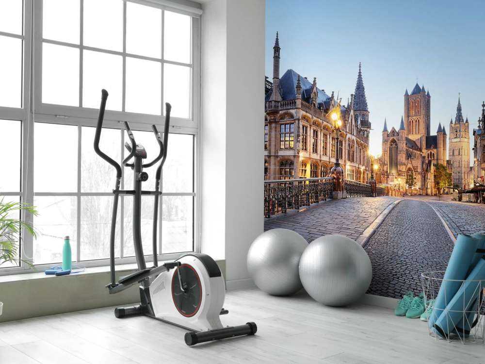 Centre historique de Gand