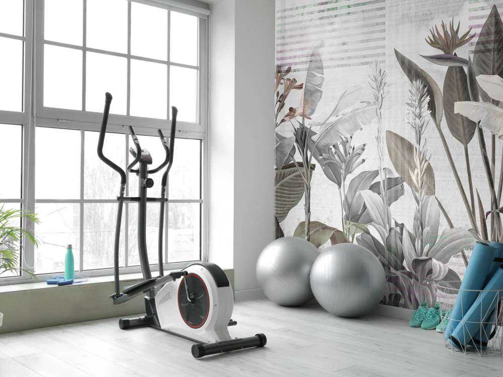 Dreams and Tropics 6