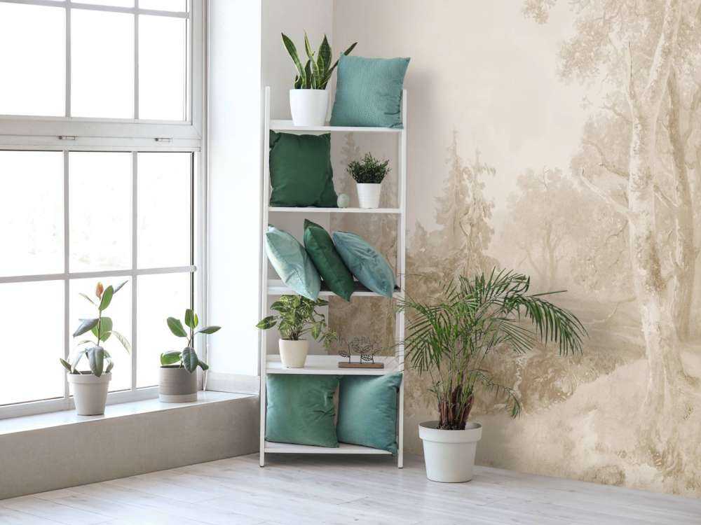 Paysage forestier beige #1