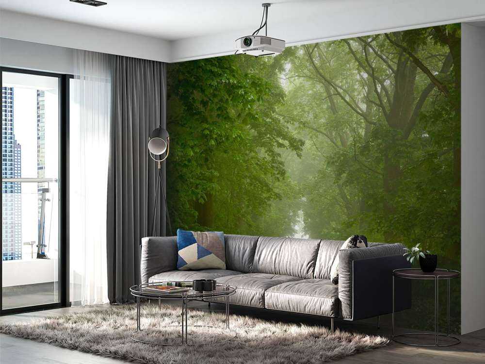 Forêt verte avec chemin brumeux