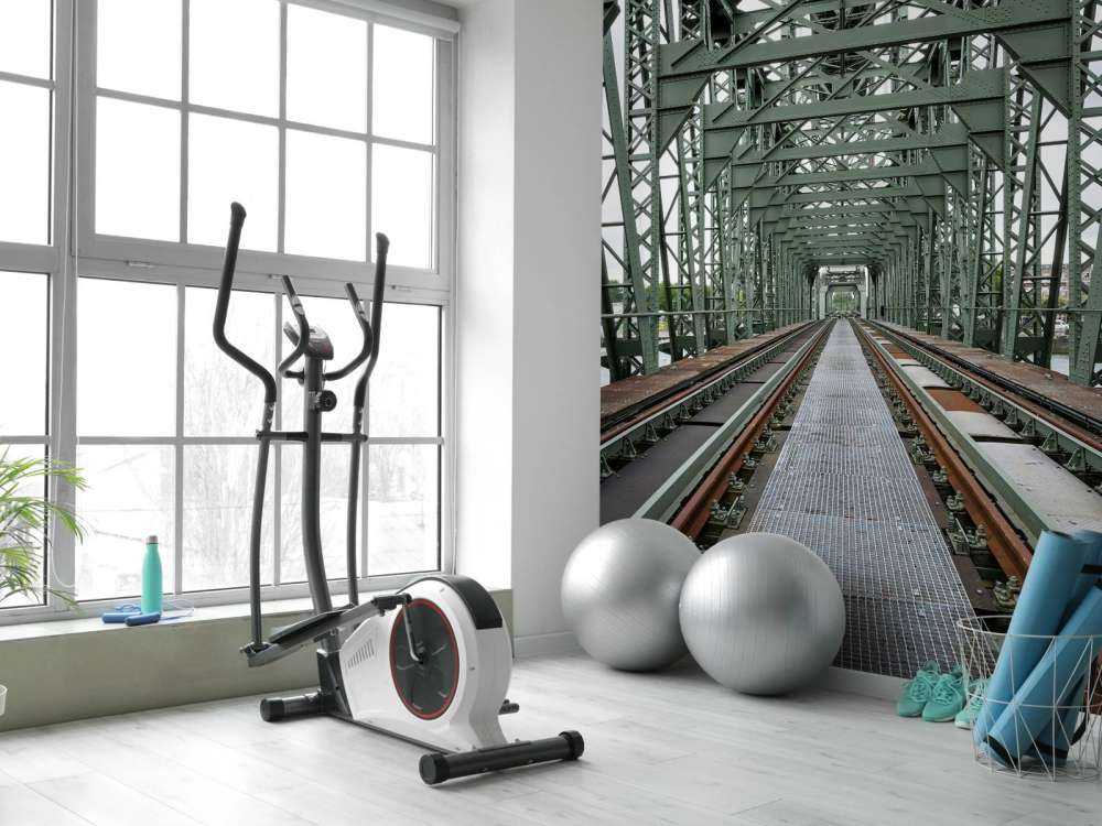 Pont ferroviaire monumental De Hef à Rotterdam  