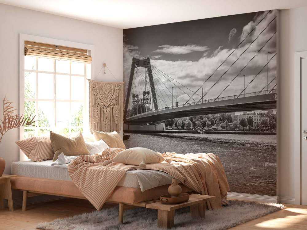 Le passage du pont Prince Willem Alexander à Rotterdam en noir et blanc  