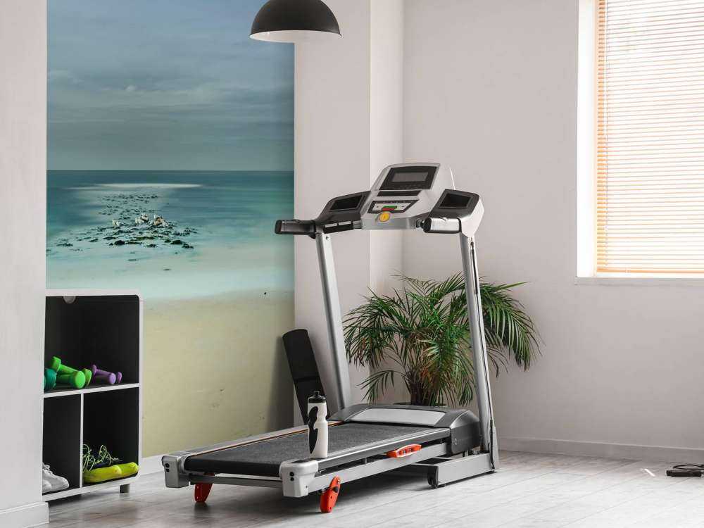 Mer calme avec mouettes