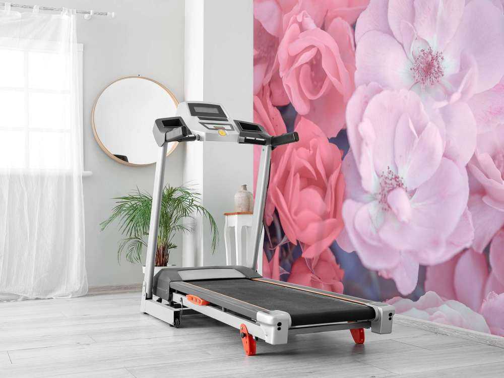 Fleurs roses bordeaux