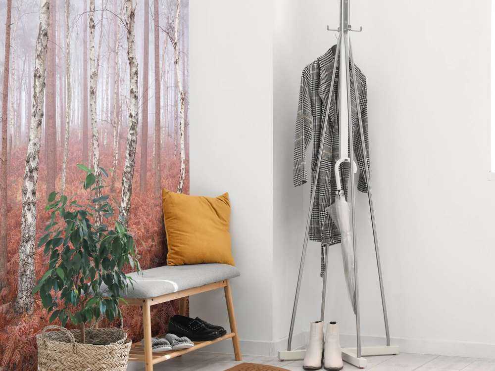 Forêt brumeuse abandonnée