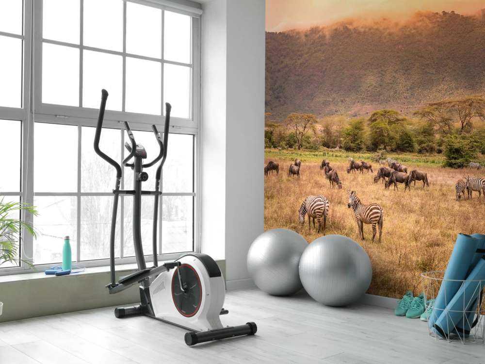 Paysage de savane avec des zèbres