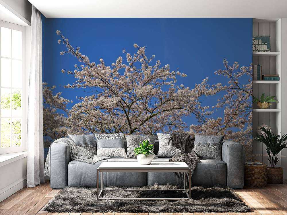 Fleurir avec un ciel bleu