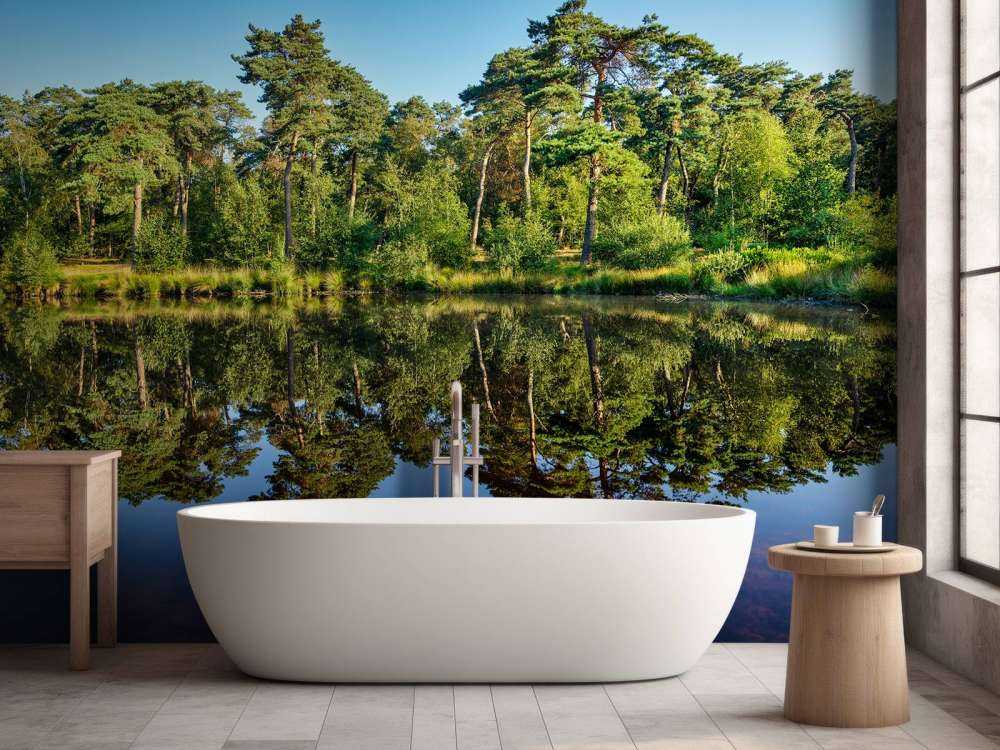 Réflexion dans les bosquets