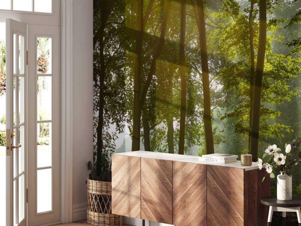 Forêt au soleil du matin