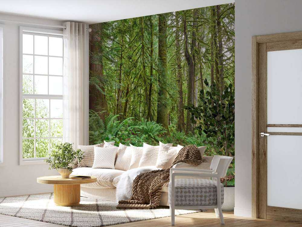 Sentier en pierres à travers la forêt