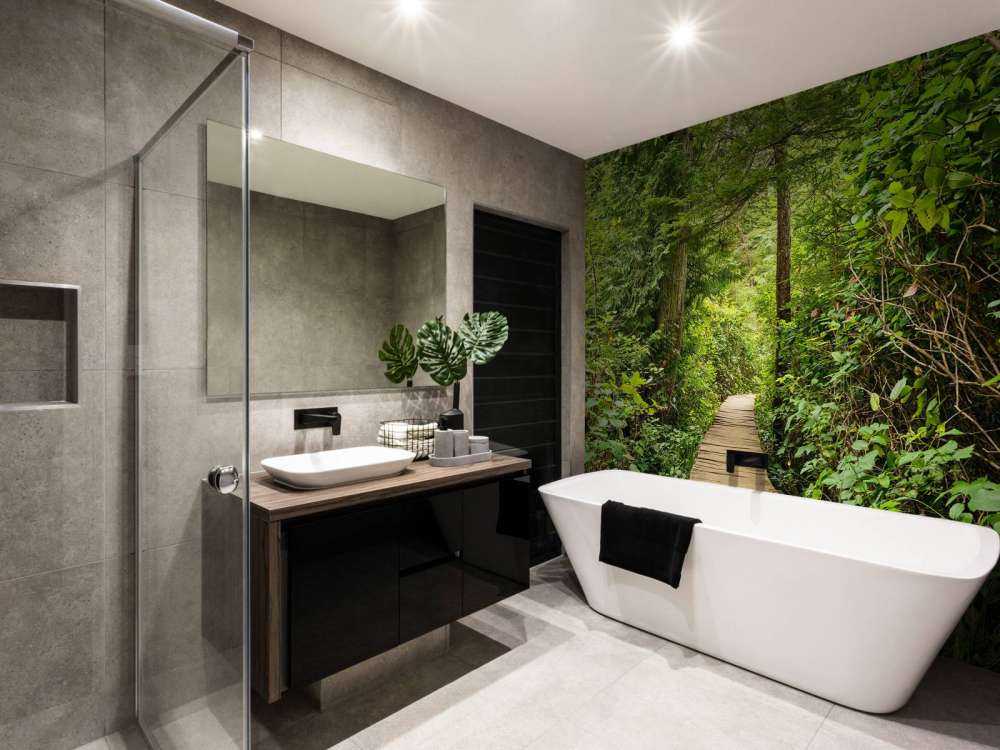 À travers la forêt verte