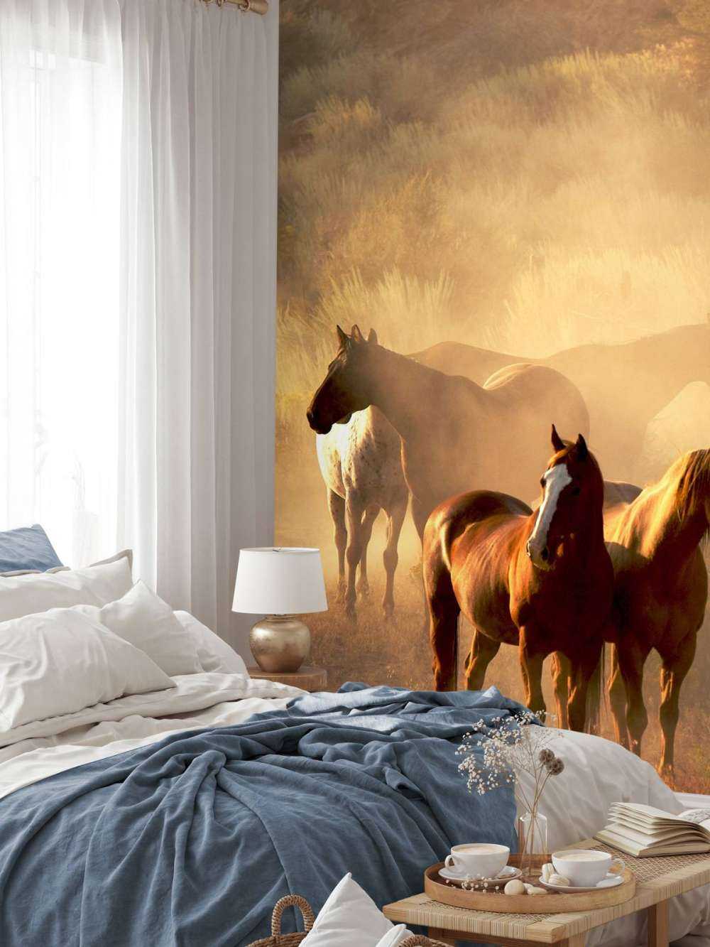 Chevaux au coucher du soleil