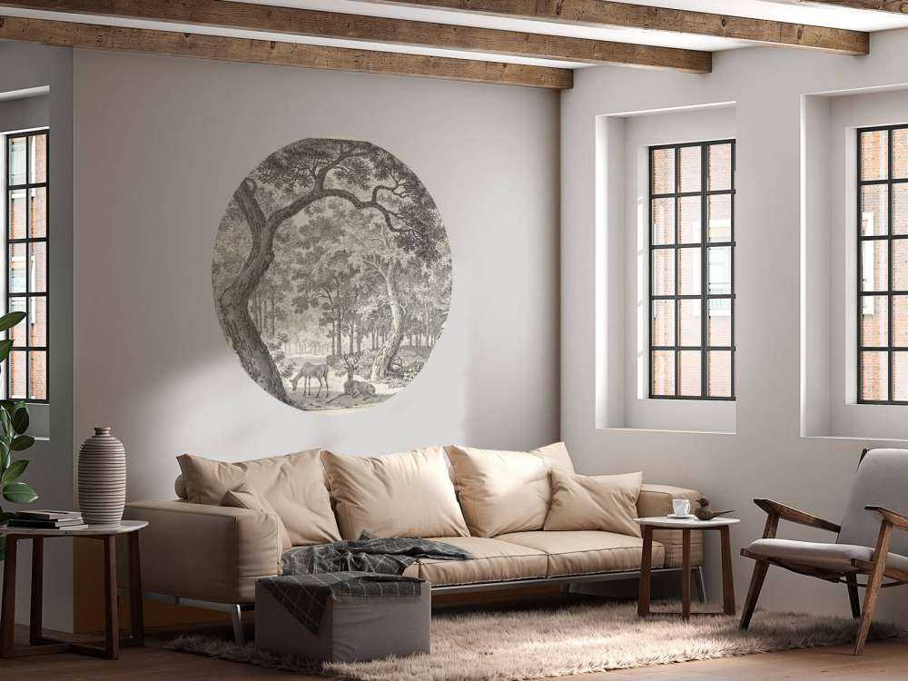 Vue sur la forêt avec deux cerfs