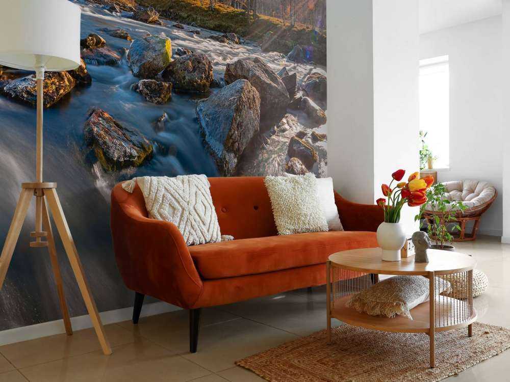 Rivière de montagne