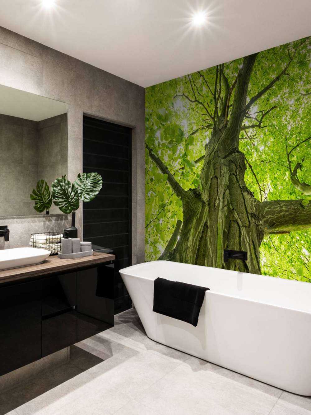 Grand arbre dans la forêt