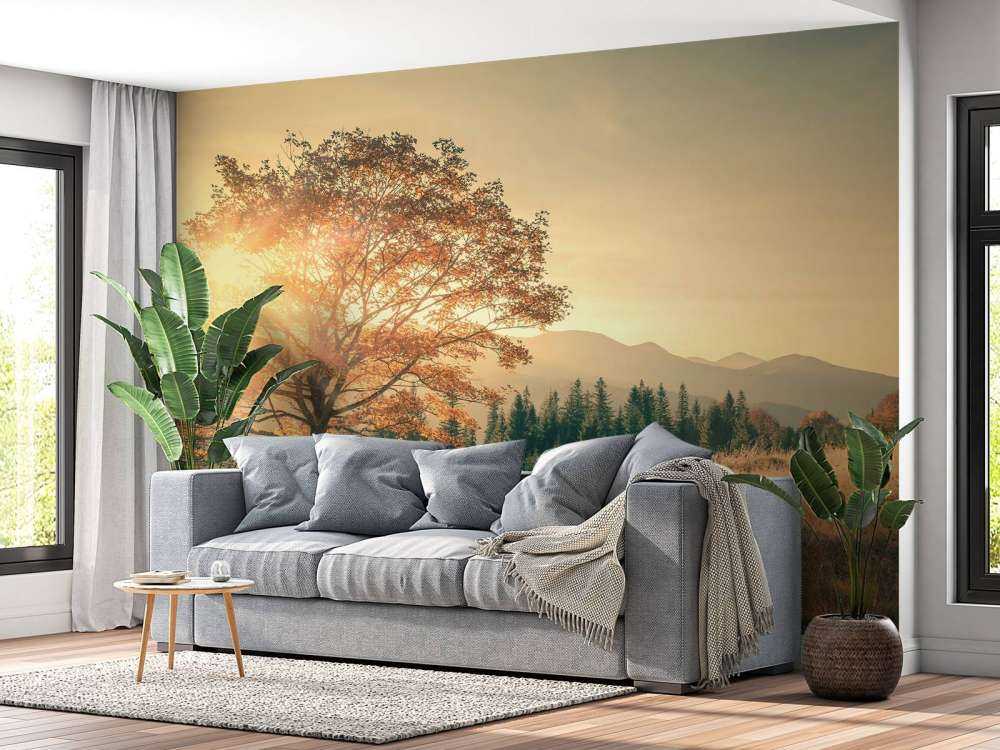 Coucher de soleil dans une vallée