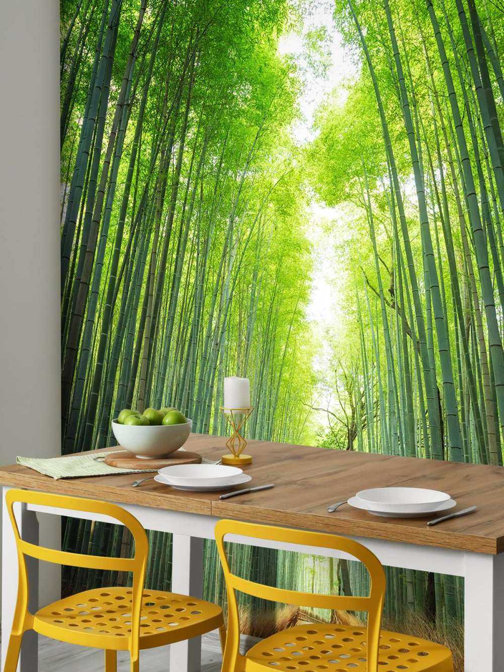 Sentier à travers le bambou