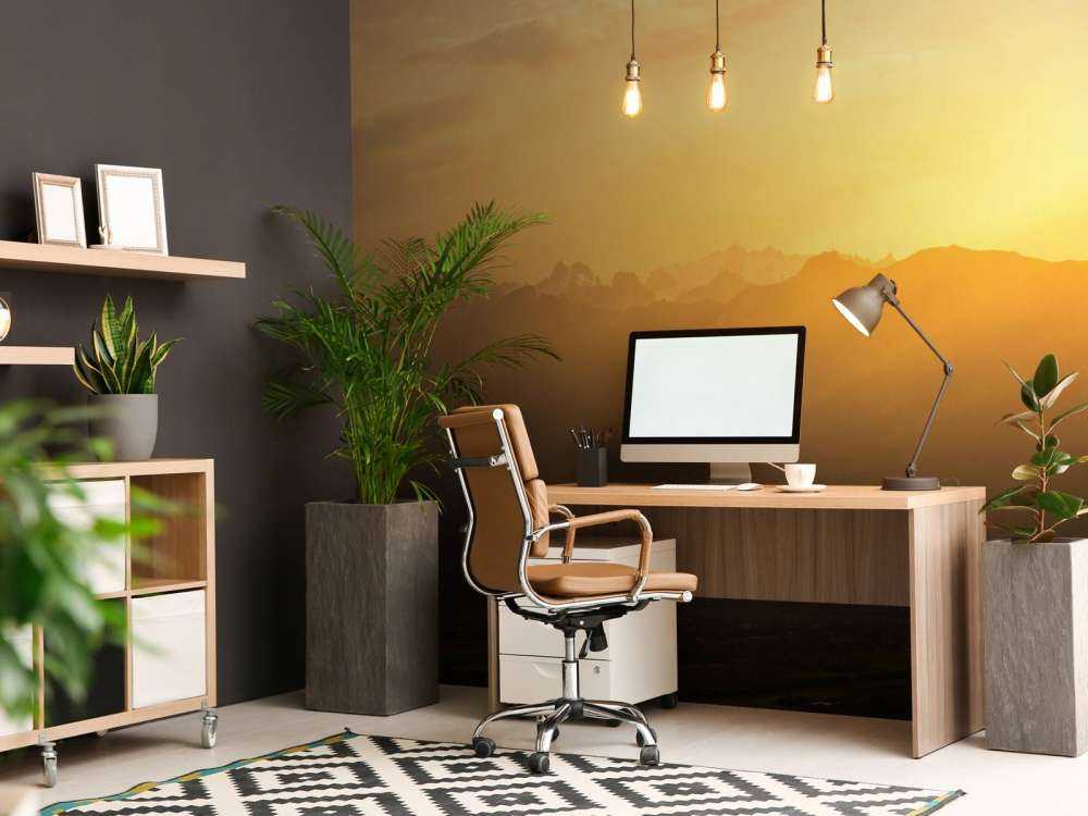 Lumière dorée du soleil sur la vallée de montagne