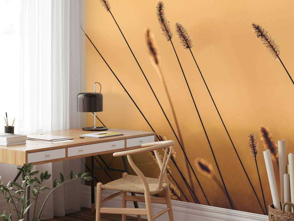 Herbe Murmurante dans le Soleil du Matin