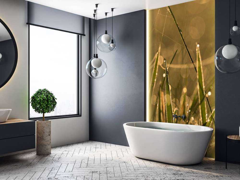 Herbe du matin brillante