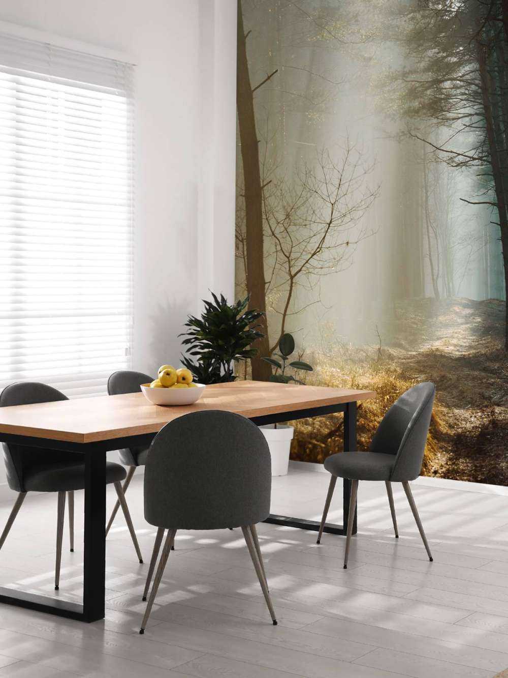 Rayons de lumière à travers la forêt