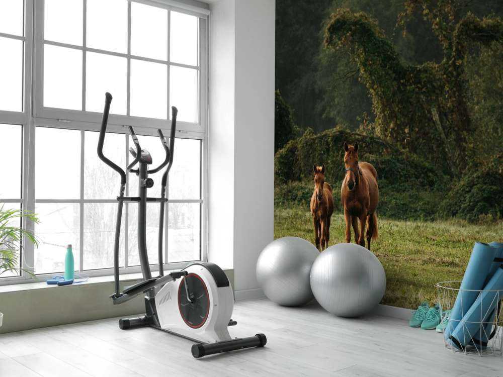 Chevaux dans un paysage mystique