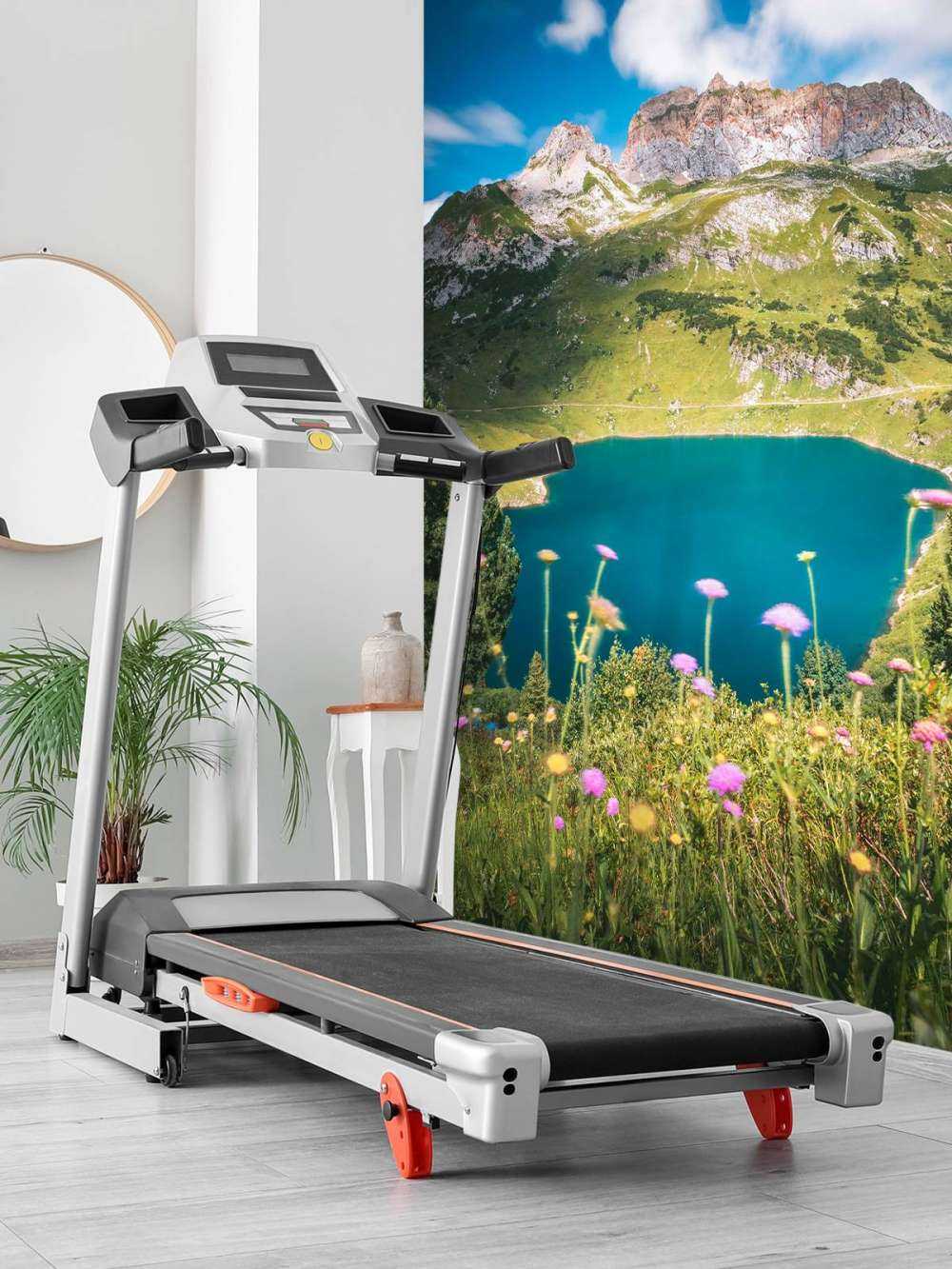 Pré fleuri au bord d'un lac de montagne clair