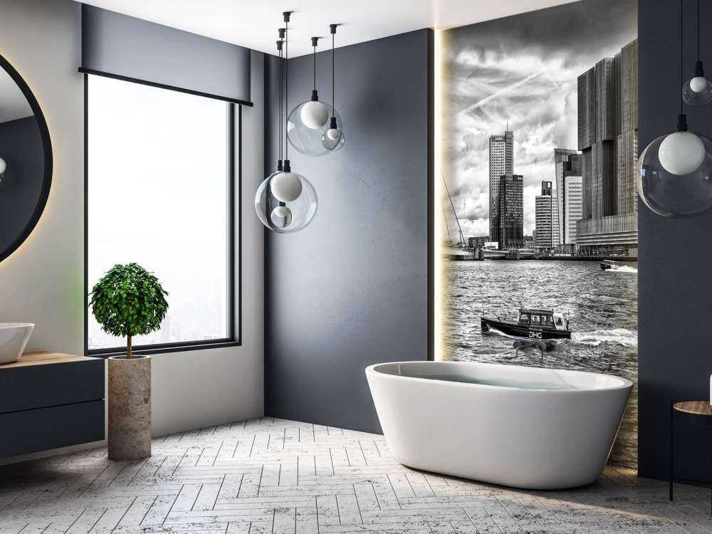 Erasmusbrug et Skyline en Monochrome