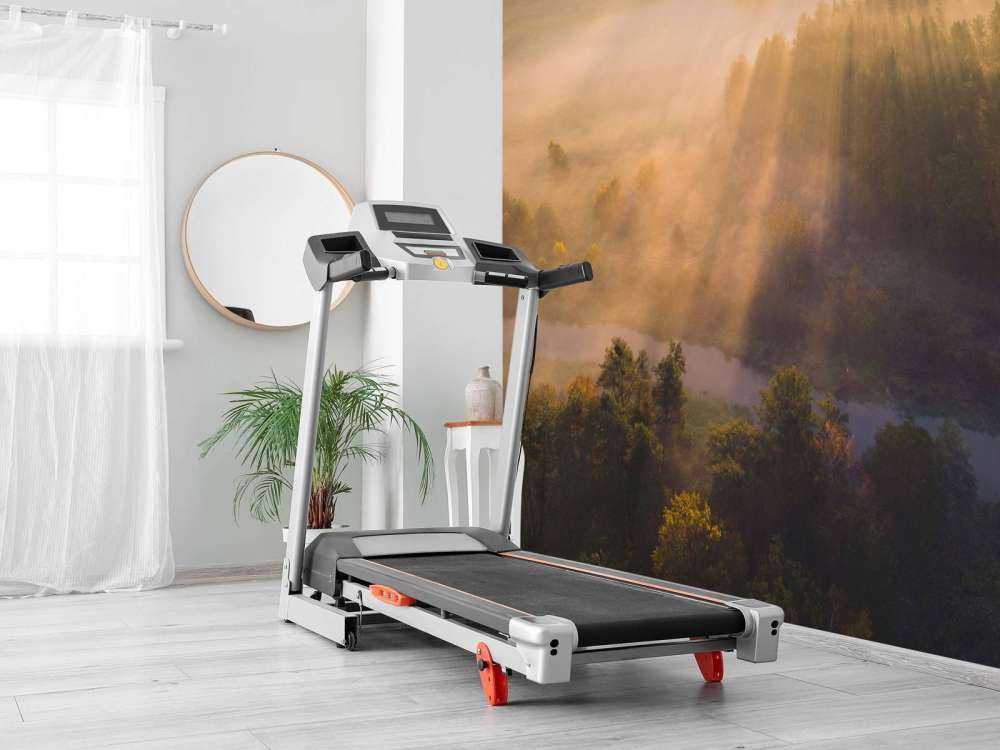 Brume matinale rêveuse dans la nature