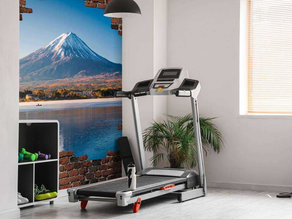 Vue sur le mont Fuji