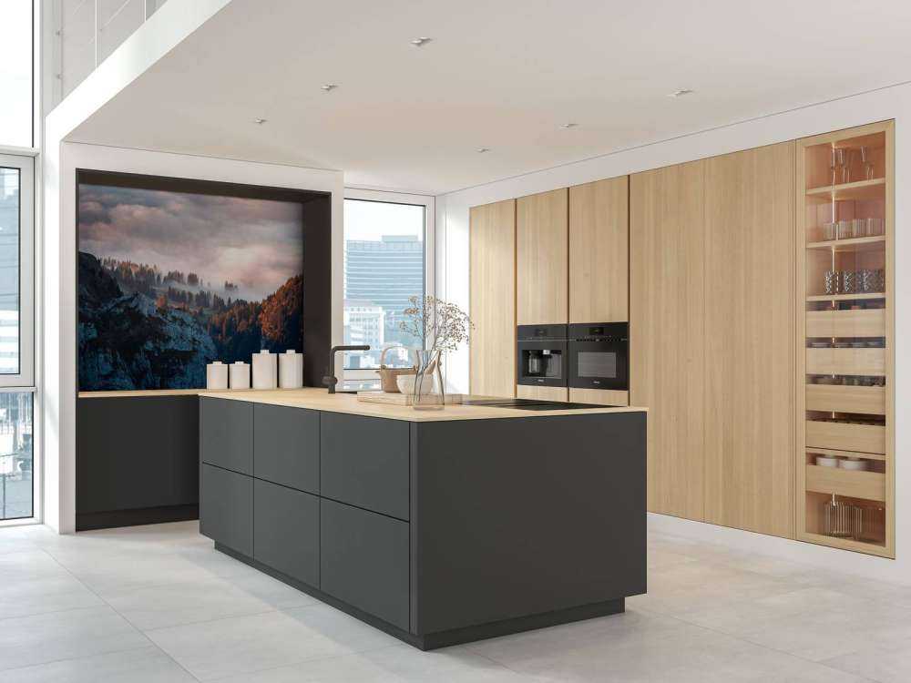 Lisière de forêt dans la brume du matin.