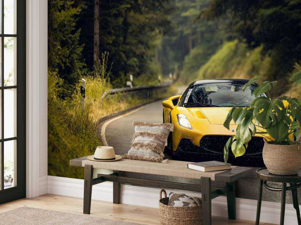 Maserati dans la forêt verte