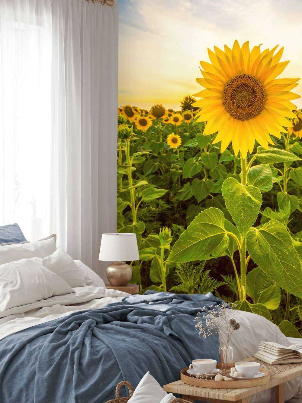 Le tournesol dans les champs