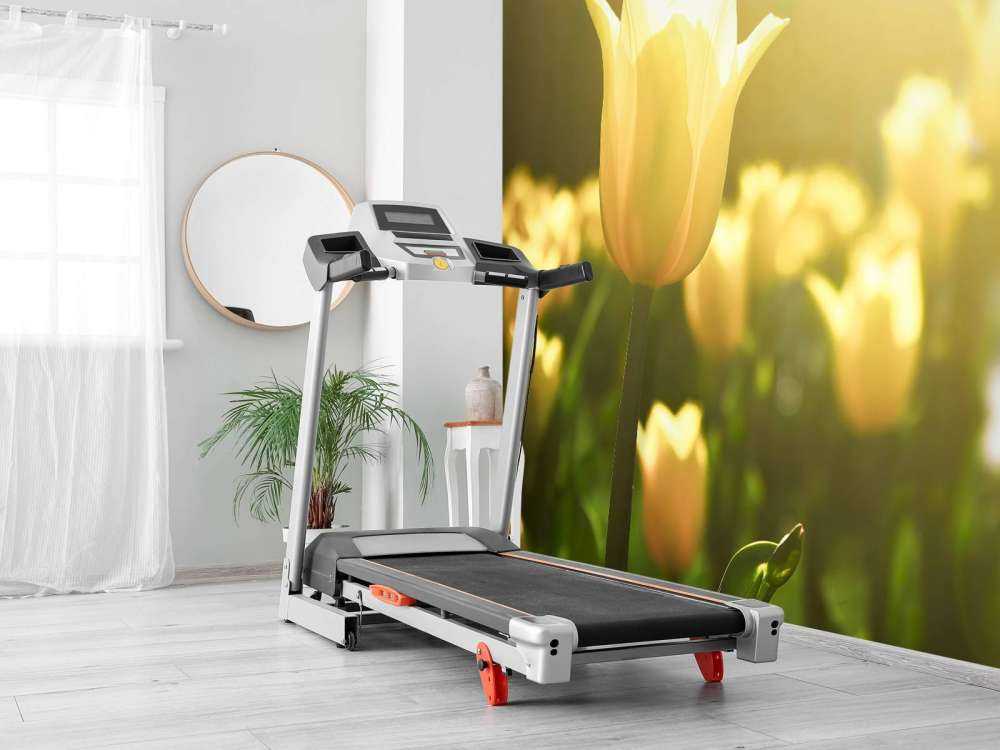 Gros plan sur la tulipe jaune