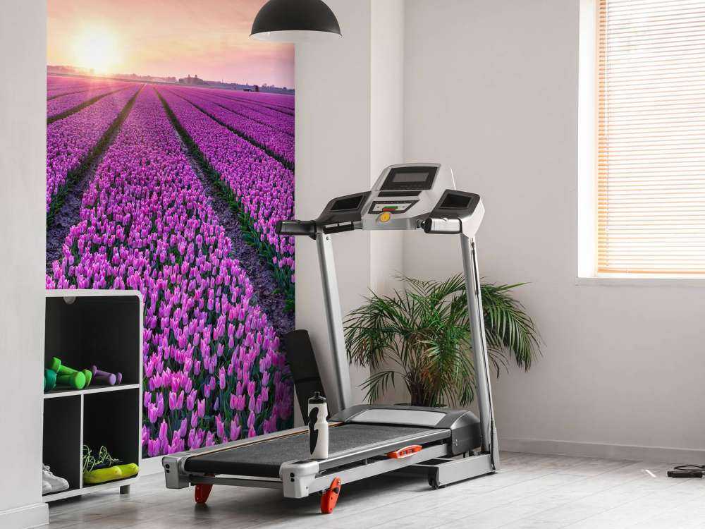 Champ de tulipes au lever du soleil