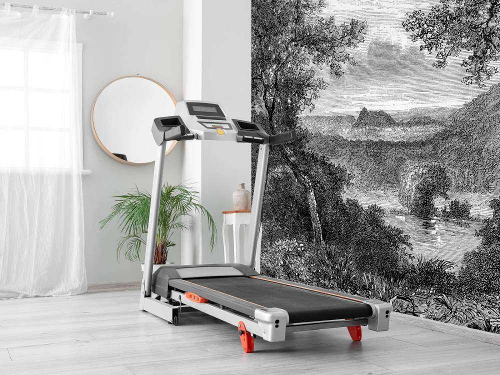 Croquis de la jungle