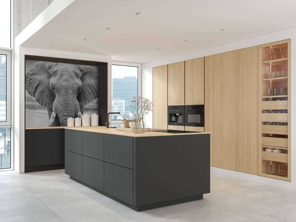 L'éléphant en noir et blanc