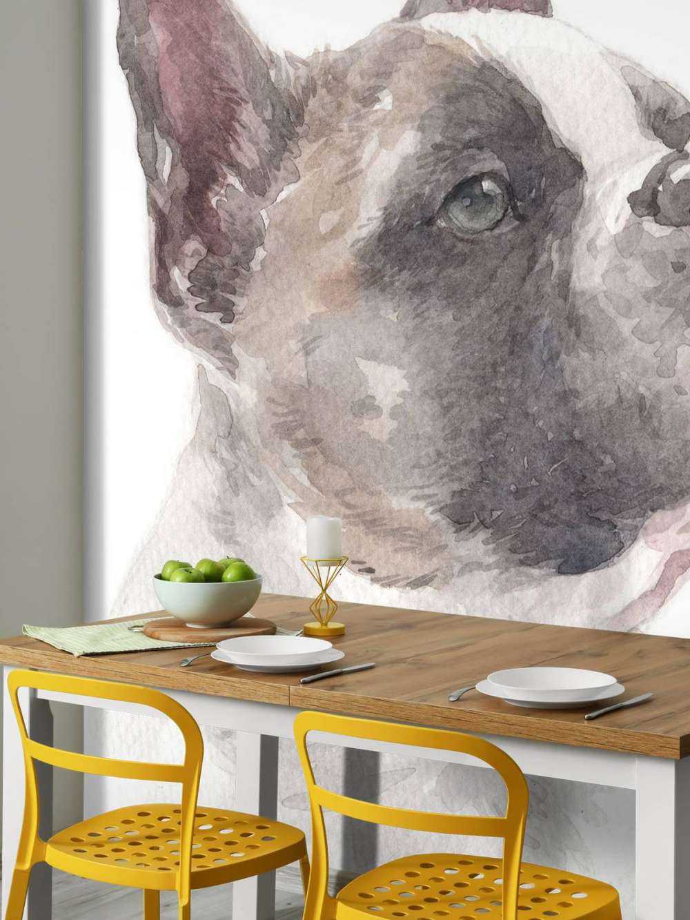 Aquarelle Bouledogue français