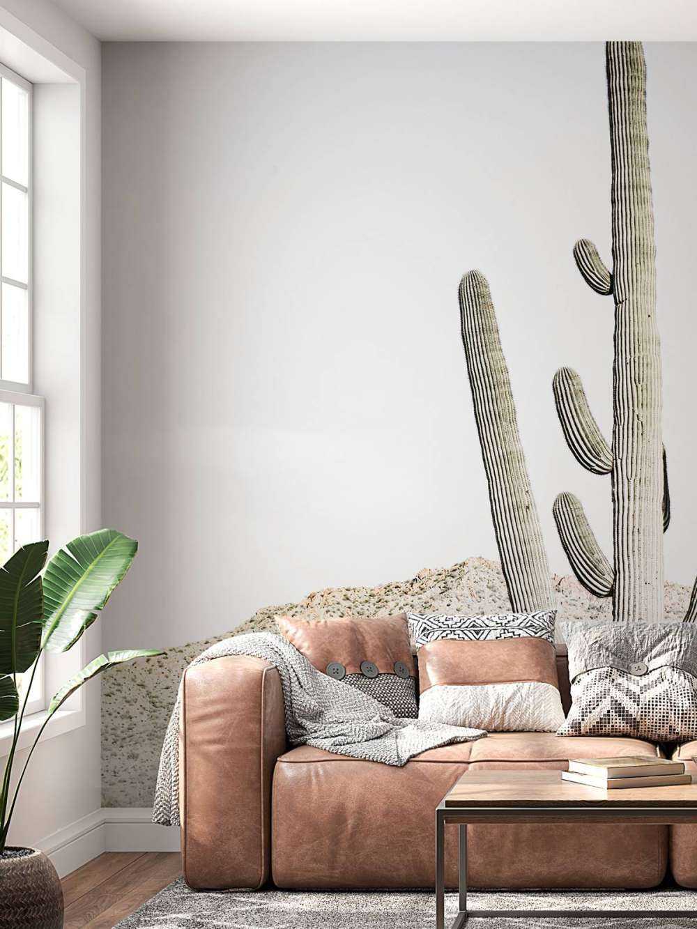 Le cactus haut