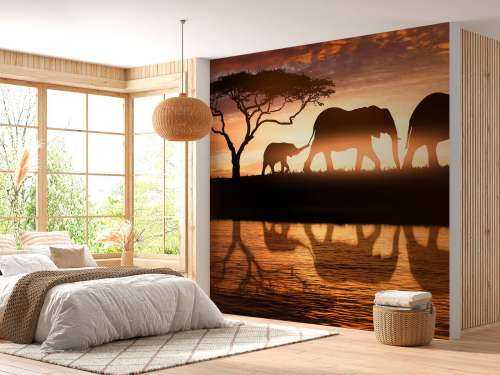 Les éléphants dans la savane