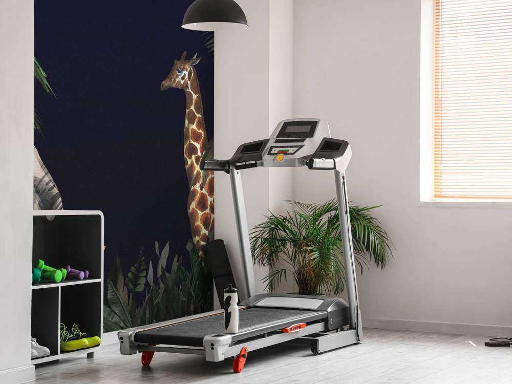 Les animaux de la jungle la nuit