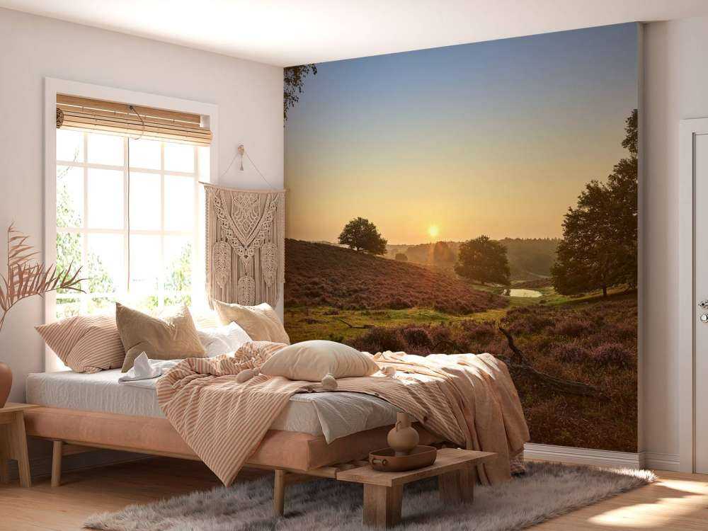 Flaque d'eau sur la lande