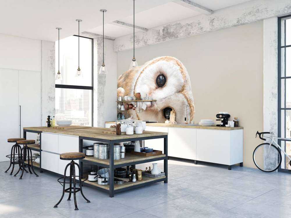 Chouette avec la tête inclinée