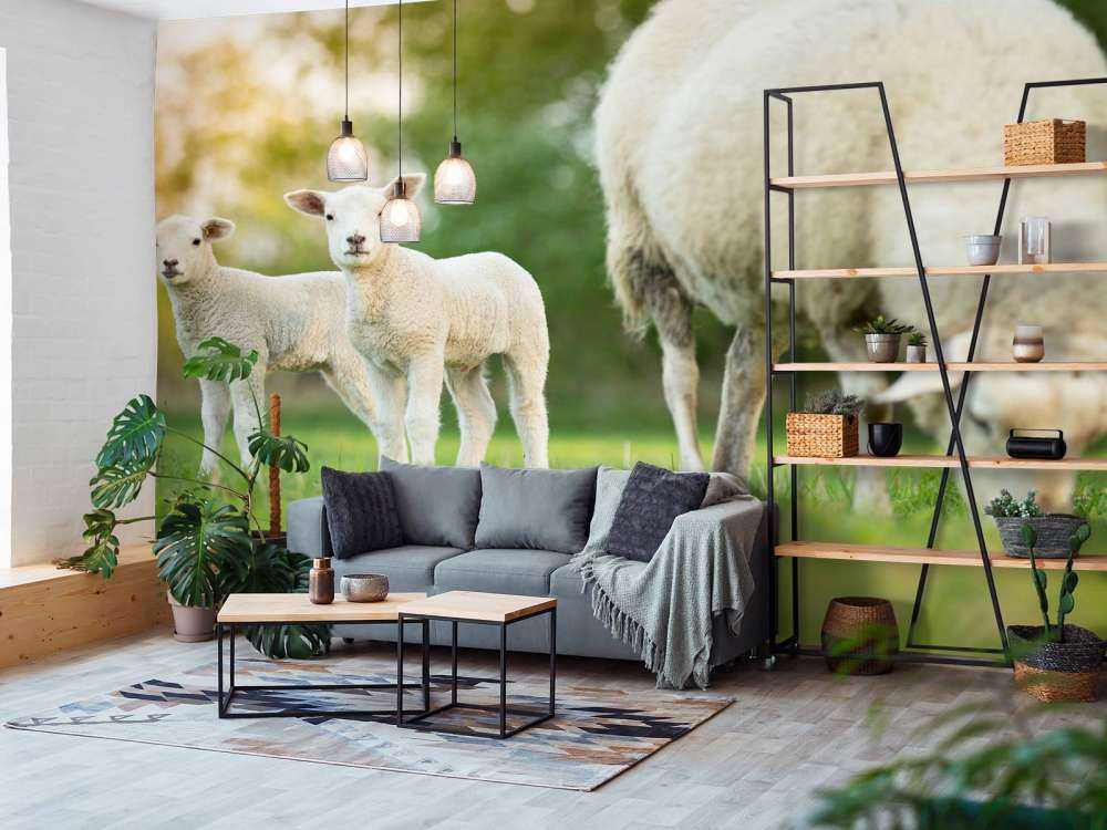 Mouton mère avec agneaux