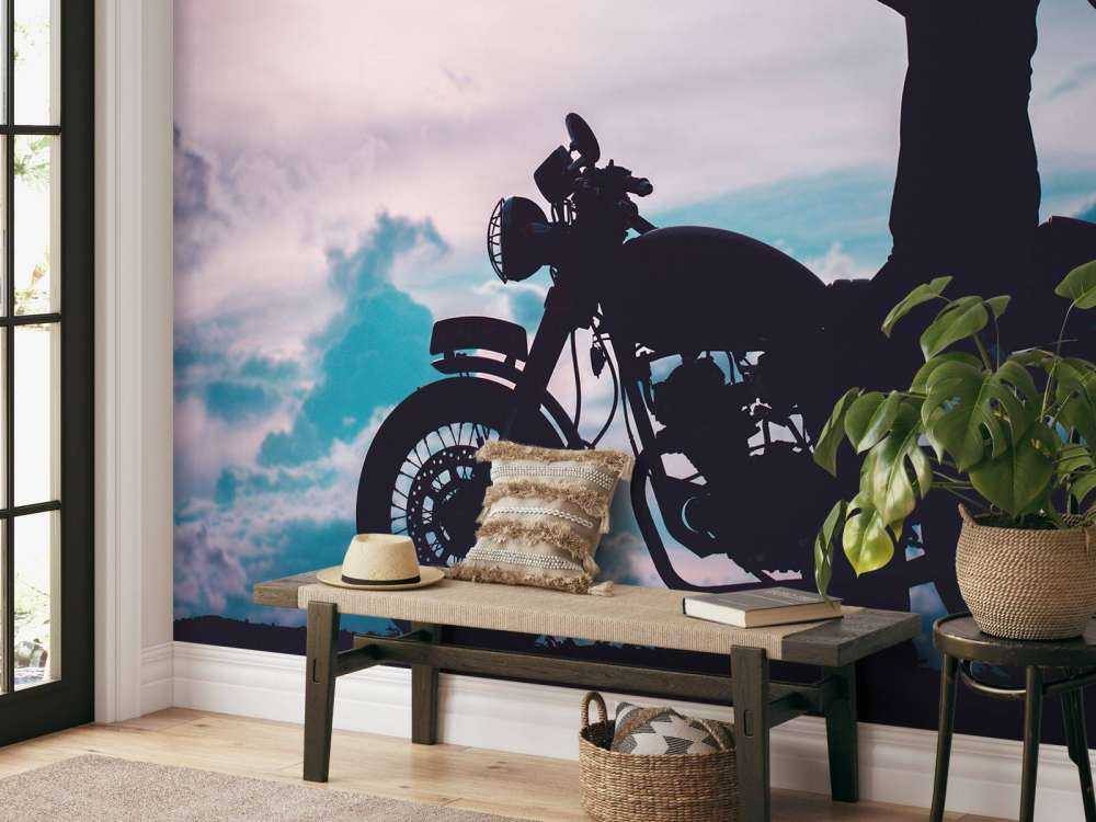 Motocycliste silhouette