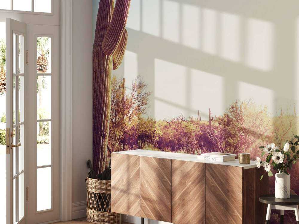 Cactus dans le désert