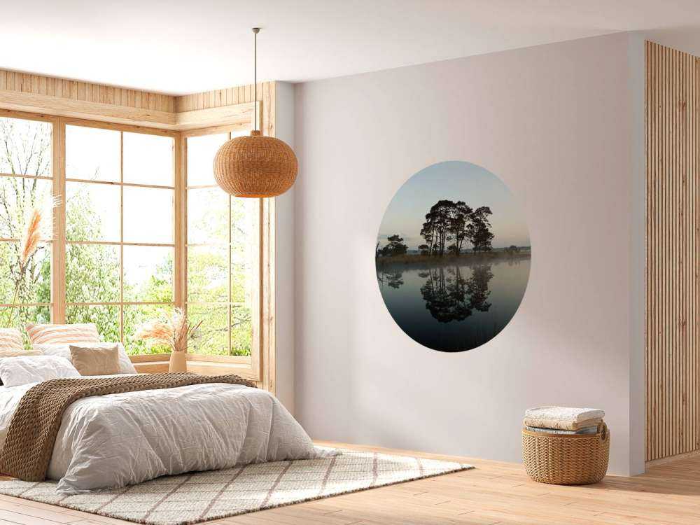 Les arbres le long des forêts