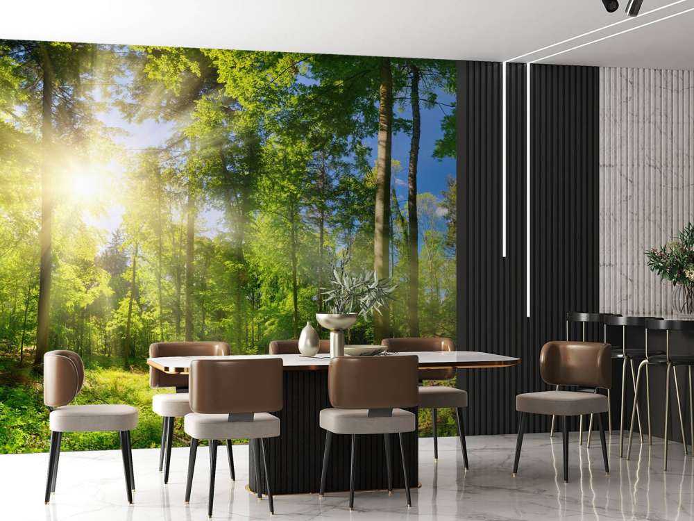 Une forêt avec des rayons de soleil